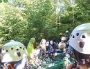 kletterwald 2019 20191119