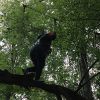 kletterwald 2019 20191119