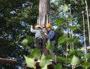 kletterwald 2019 20191119