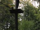kletterwald 2019 20191119