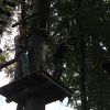 kletterwald 2019 20191119
