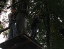 kletterwald 2019 20191119