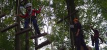 kletterwald 2019 20191119