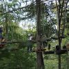 kletterwald 2019 20191119
