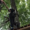 kletterwald 2019 20191119