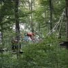 kletterwald 2019 20191119
