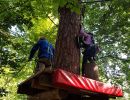 kletterwald 2021