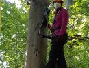 kletterwald 2021