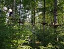 kletterwald 2021