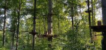 kletterwald 2021