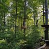 kletterwald 2021