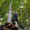 kletterwald 2021