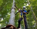 kletterwald 2021