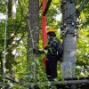 kletterwald 2021