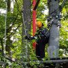 kletterwald 2021