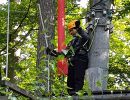 kletterwald 2021