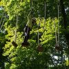 kletterwald 2021