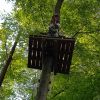 kletterwald 2021