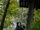 kletterwald 2021