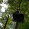 kletterwald 2021