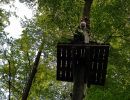 kletterwald 2021