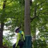 kletterwald 2021