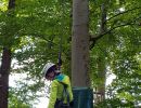 kletterwald 2021