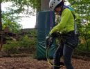 kletterwald 2021
