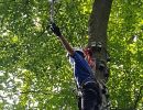 kletterwald 2021