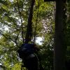 kletterwald 2021