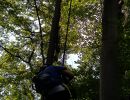 kletterwald 2021
