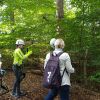 kletterwald 2021