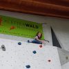 kletterwald 2021