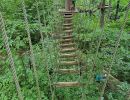 kletterwald 2022