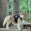 kletterwald 2022