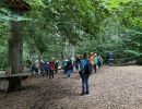 kletterwald 2022