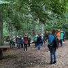 kletterwald 2022