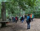 kletterwald 2022