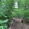 kletterwald 2022