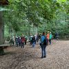 kletterwald 2022