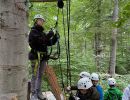 kletterwald 2022