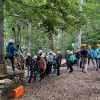 kletterwald 2022