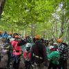 kletterwald 2022