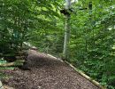 kletterwald 2022