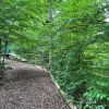 kletterwald 2022