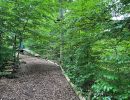 kletterwald 2022