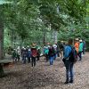 kletterwald 2022