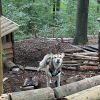 kletterwald 2022
