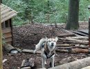 kletterwald 2022