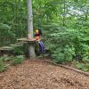 kletterwald 2022